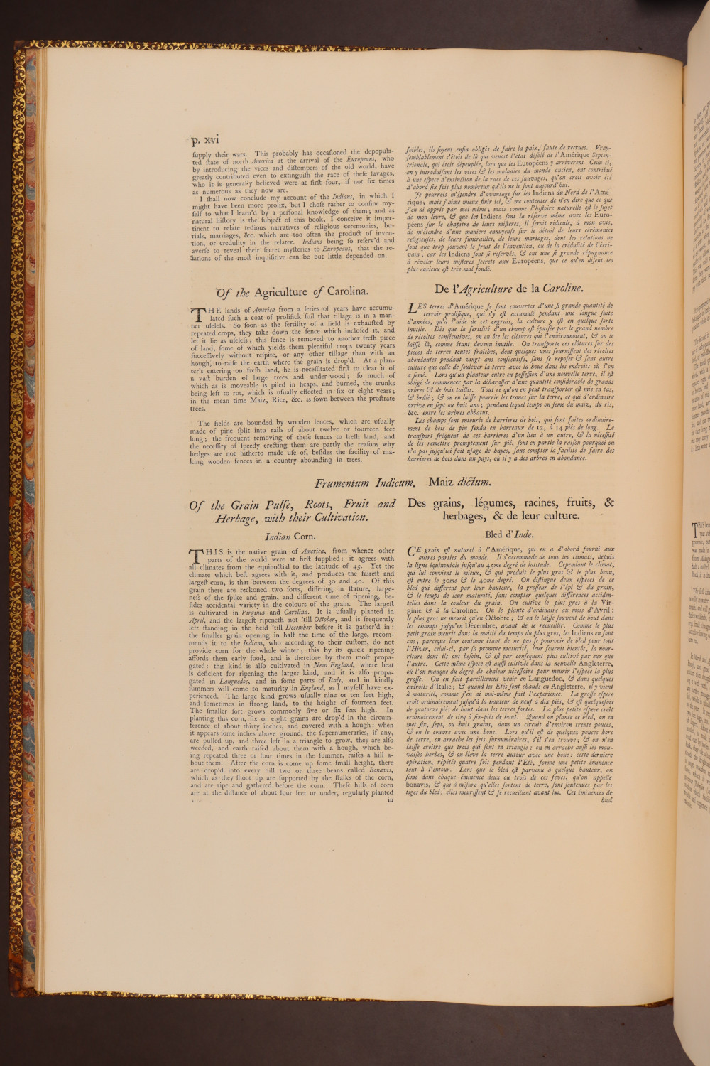 Page xvi
